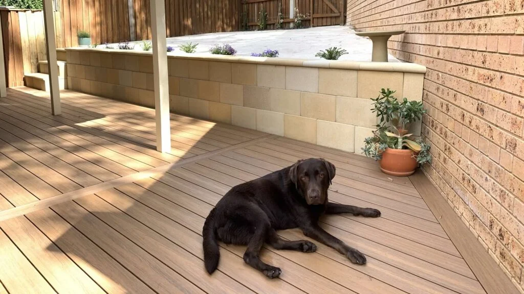 Brand new deck